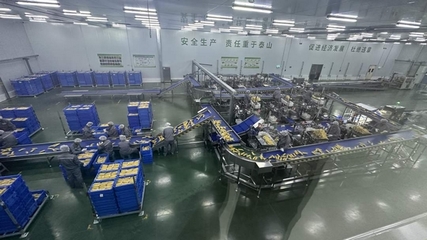 當“北緯47°”遇上“耕地大熊貓” 企業(yè)培訓助力可持續(xù)農(nóng)業(yè)高質量發(fā)展