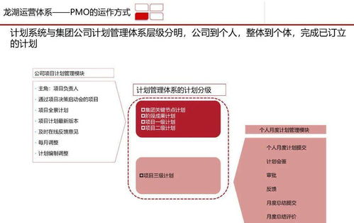 高效龍湖PMO項目管理部體系研究與企業培訓